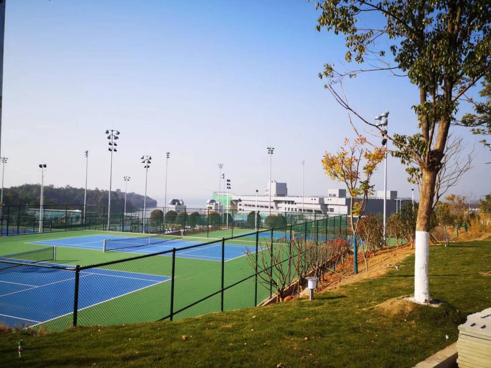 f03911f7bc674f79bd245c20cd8d797