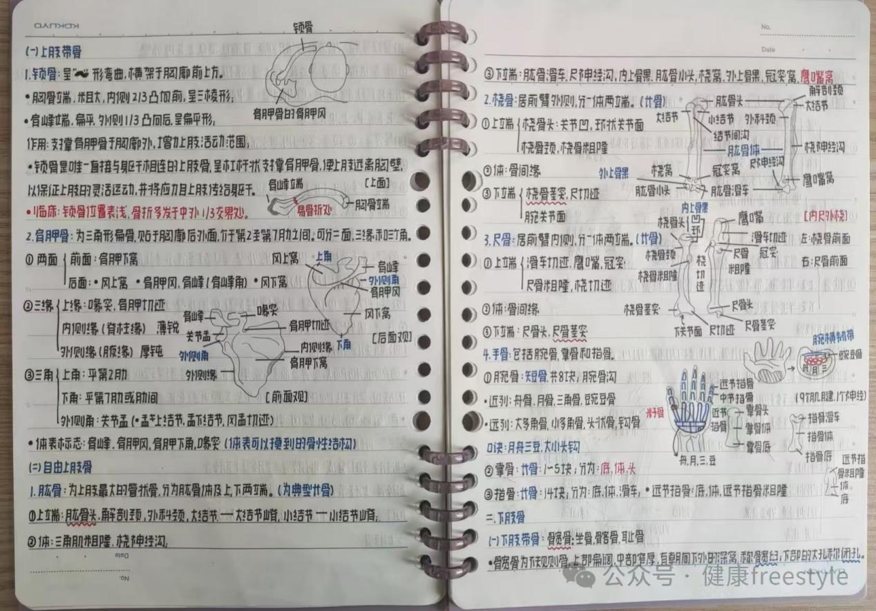 9e0a8fdef6b14b05adbd03758f631bd