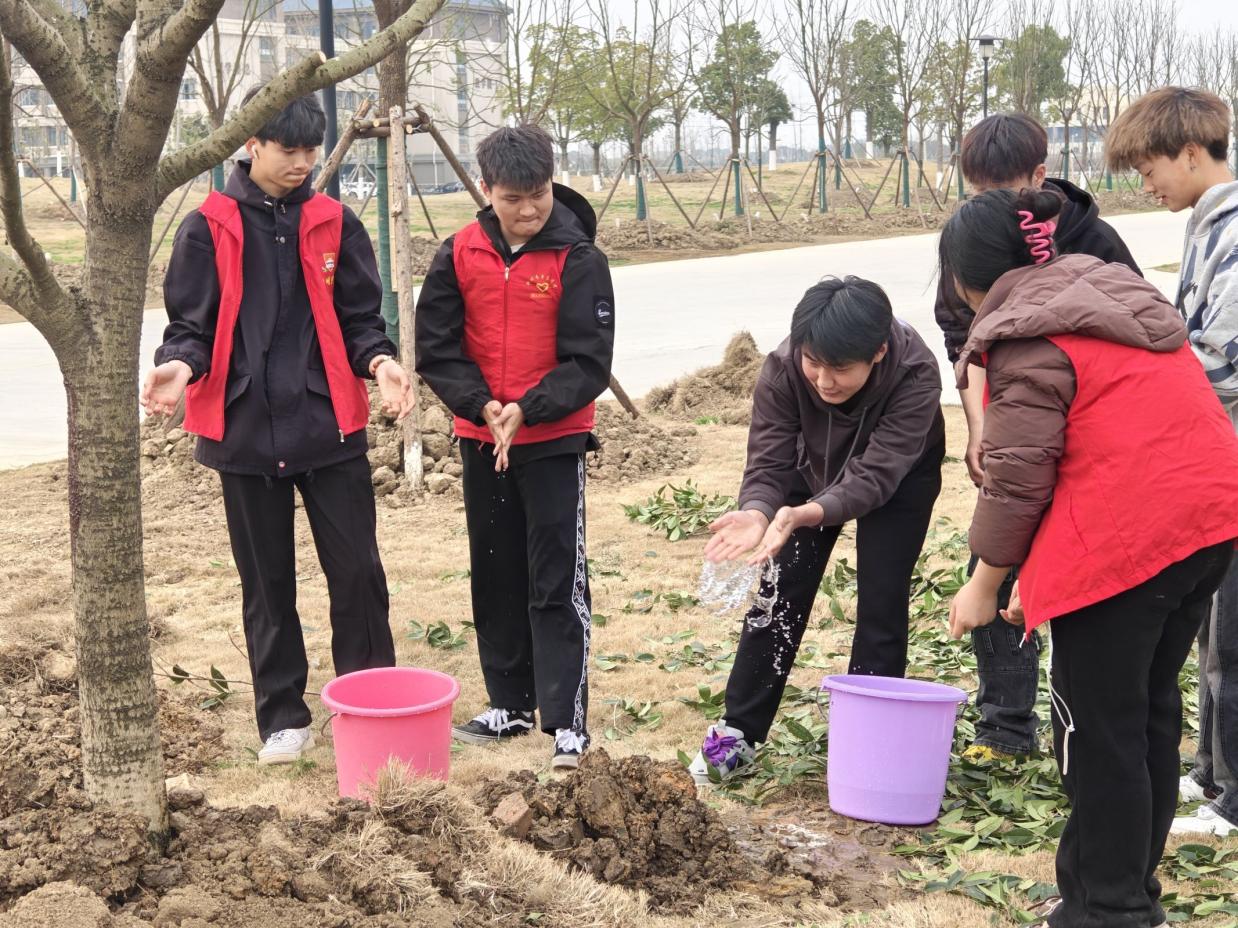 图示, 示意图

中度可信度描述已自动生成:ver1