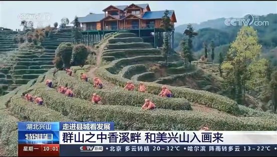 d05d99ce61cefae588ba3e49142823d