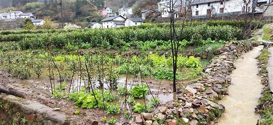 ed8657e49a52e107db39e9b3226e76a