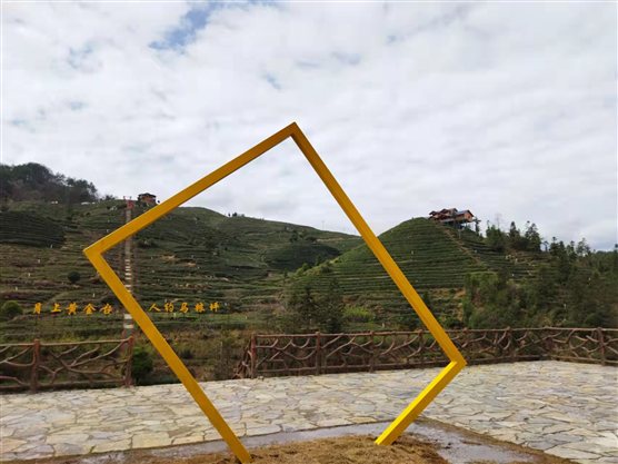 c57c904d4d9fb5a2e447fa23aa4b847