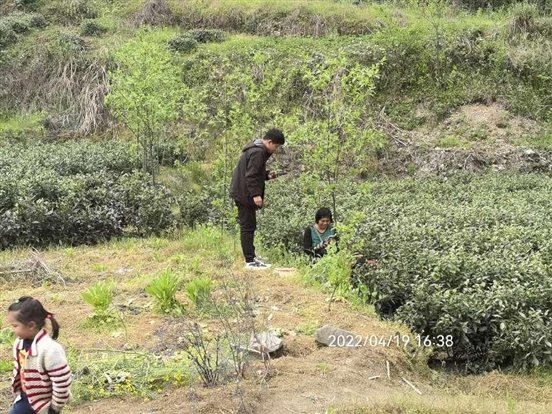 mmexport1650603578564