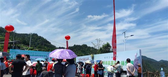 mmexport1684738298049